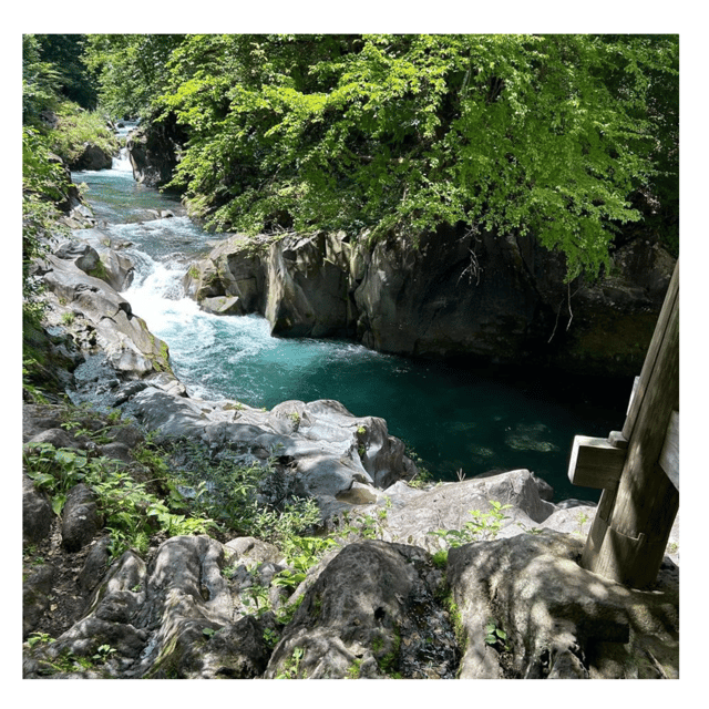 Nagano/Tokyo: Snow Monkey Private Day Tour At Lowest Rate - Matsumoto Castle is a handsome but distant choice