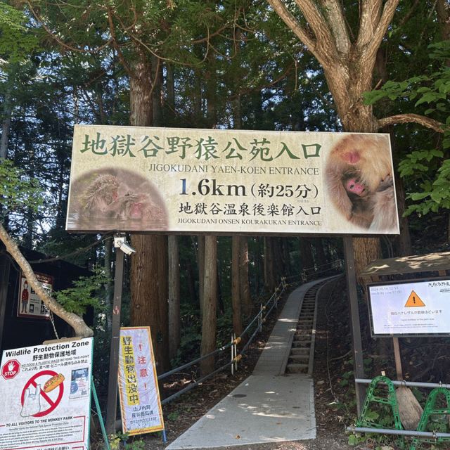 Nagano/Tokyo: Snow Monkey Private Day Tour At Lowest Rate - Jigokudani Snow Monkey Park: the day’s big prize