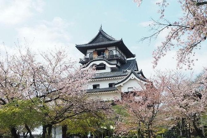 Nagoya Half-day Private Custom Tour with National Licensed Guide - What the $108.99 price really buys