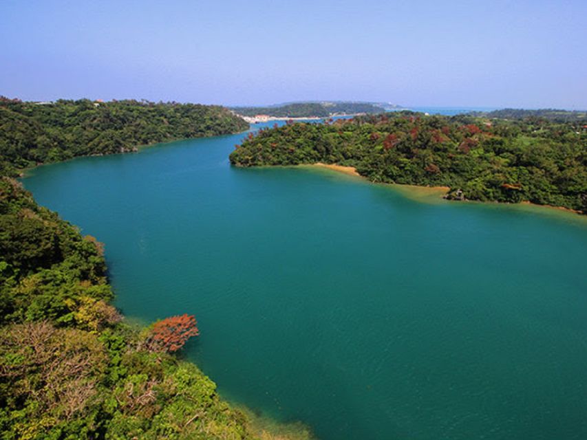 Naha: North Okinawa Sightseeing Tour & Churaumi Aquarium - Key points before you book