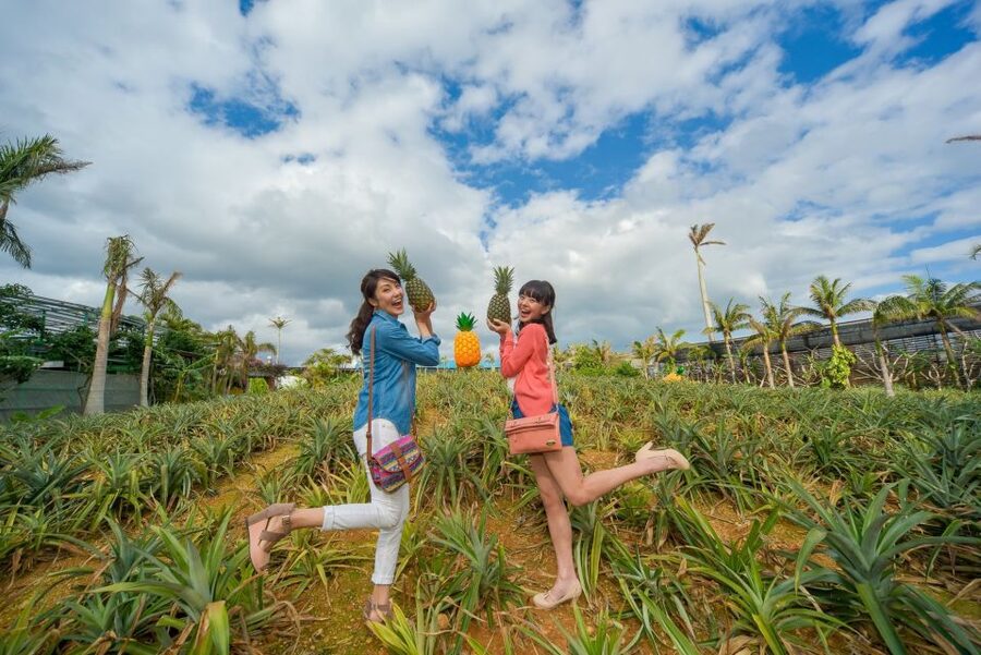 Naha: North Okinawa Sightseeing Tour & Churaumi Aquarium - Why this northbound bus day makes sense