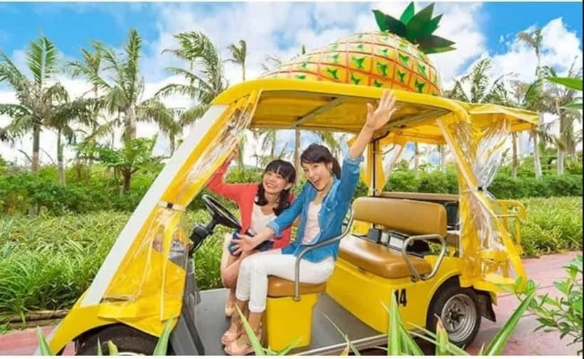 Naha: North Okinawa Sightseeing Tour & Churaumi Aquarium - Churaumi Aquarium deserves the biggest share of your day
