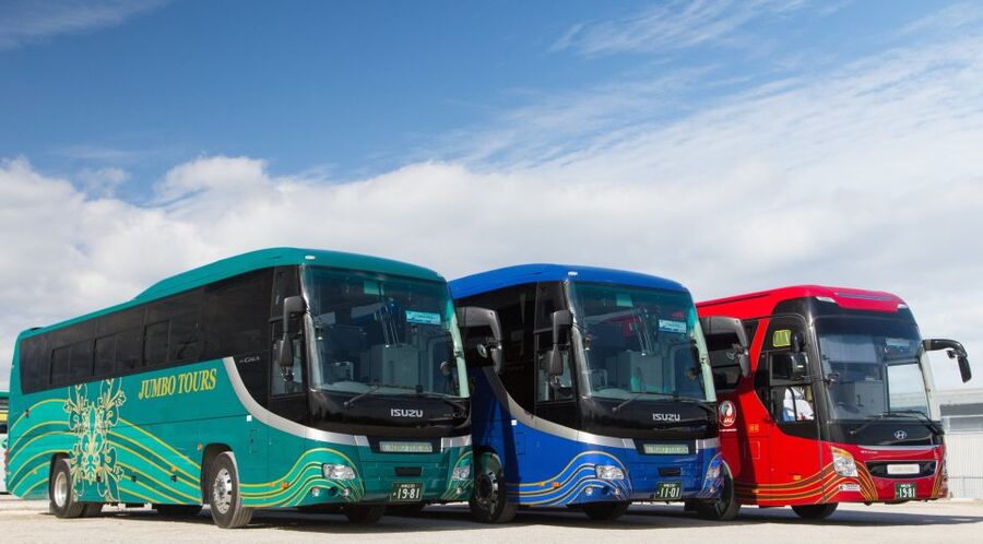Naha: North Okinawa Sightseeing Tour & Churaumi Aquarium - Is $50 good value for a full day?