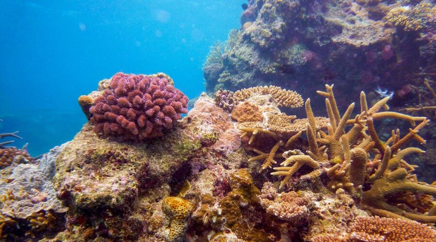 Naha, Okinawa: Kerama Islands Full-Day Intro-Diving Trip - Lunch, photos, and the practical extras