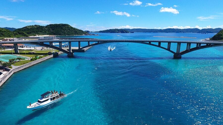 Naha, Okinawa: Kerama Islands Half-Day Whale Watching Tour - How the price compares with the experience