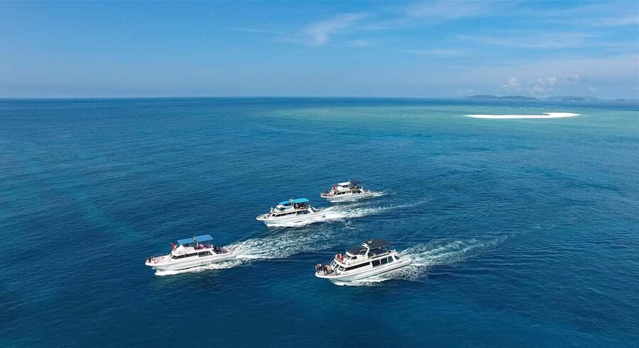 Naha, Okinawa: Kerama Islands Half-Day Whale Watching Tour - Who will enjoy this trip most