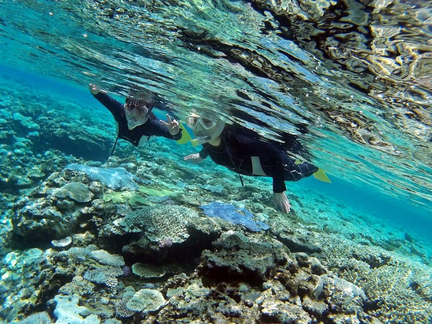 Naha, Okinawa: Keramas Island Snorkeling Day Trip with Lunch - Bento lunch, drinks, and time to warm up