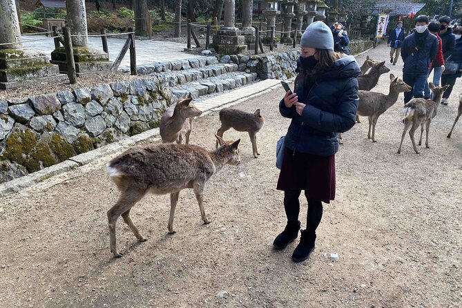 Nara 6hr Private Tour with Government-Licensed Guide - Kofuku-ji, Isuien, and Yoshikien