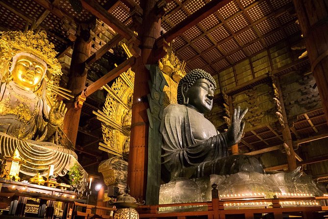Nara 8hr Private Tour - Kyoto DEP. with Licensed Guide - Kasuga Taisha through the lantern-lined forest