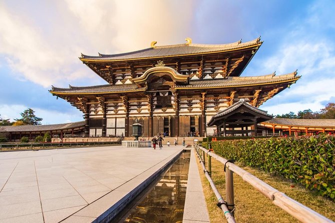 Nara Afternoon Tour from Kyoto or Osaka - Todaiji and the Great Buddha Hall