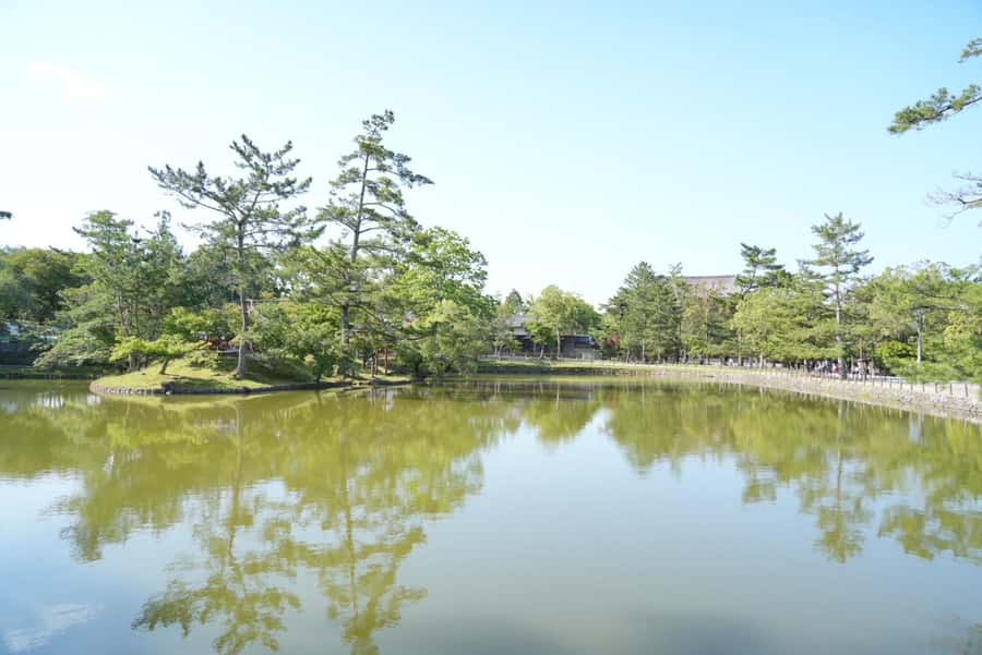 Nara Early Bird Tour (Kyoto Departure Option Available) - Key points at a glance