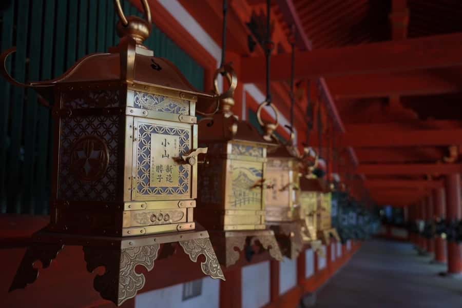 Nara Early Bird Tour (Kyoto Departure Option Available) - Kofuku-ji Temple and Nara’s first historic stop