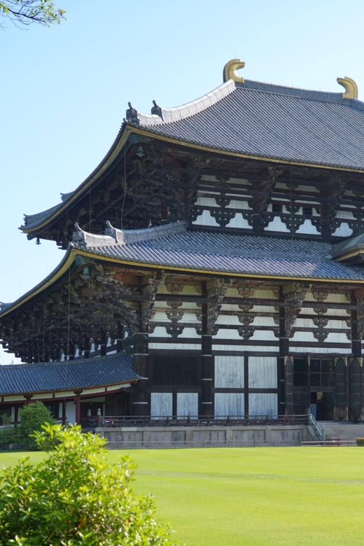 Nara Early Bird Tour (Kyoto Departure Option Available) - Nara Park and the famous deer