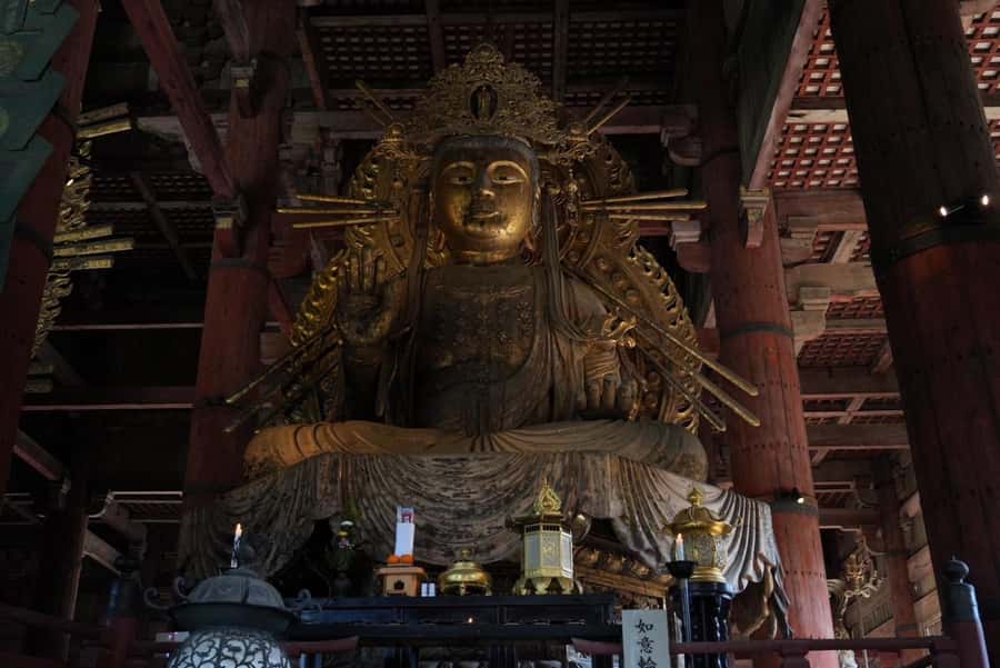 Nara Early Bird Tour (Kyoto Departure Option Available) - Kasuga Grand Shrine and the quieter walk