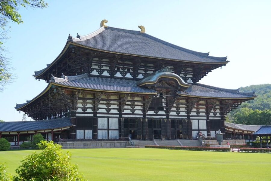 Nara Early Bird Tour (Kyoto Departure Option Available) - What $88 includes and what it does not