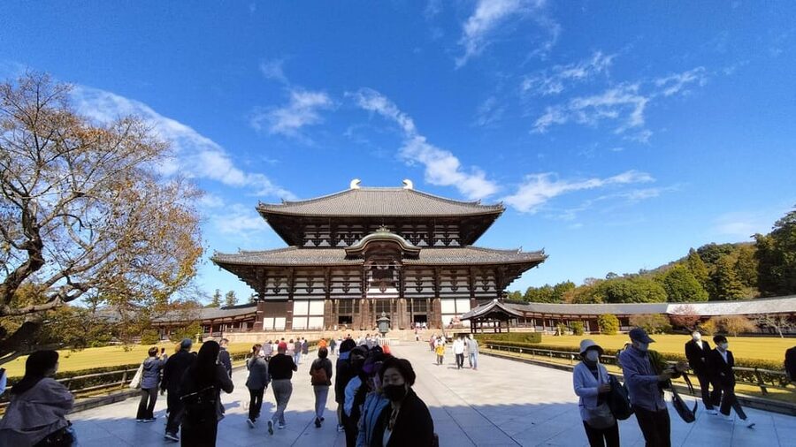 Nara: Great Buddha, Kasuga Shrine & Deer Park Tour - Why this three-hour Nara route works