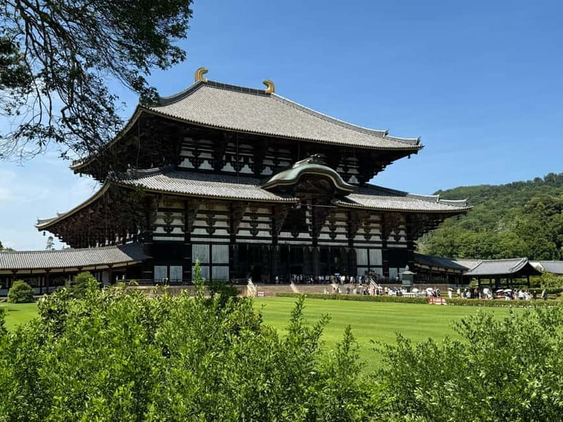Nara: Great Buddha, Kasuga Shrine & Deer Park Tour - Who should book this Nara tour?