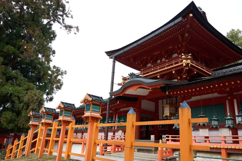 Nara: Great Buddha, Kasuga Shrine & Deer Park Tour - Should you book it?