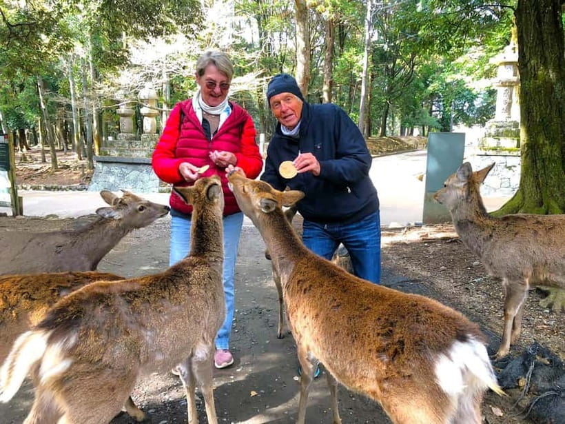 Nara: Great Buddha, Kasuga Shrine & Deer Park Tour - Meeting at Himuro Shrine