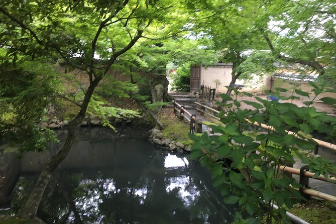 Nara Half Day Trip Walking Tour (Private Option Available) - What the guide adds to the price