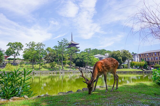 Nara Half Day Trip Walking Tour (Private Option Available) - A traditional Japanese lunch in Zoshicho