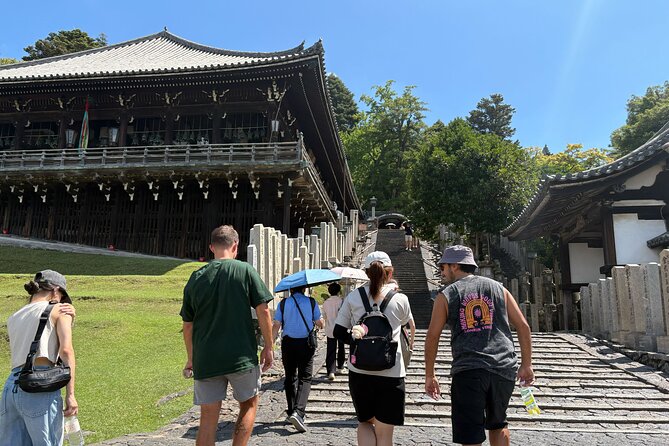 Nara Highlight Walking Tour with Furoshiki Experience with Lunch - Kasuga Taisha and the language of lanterns