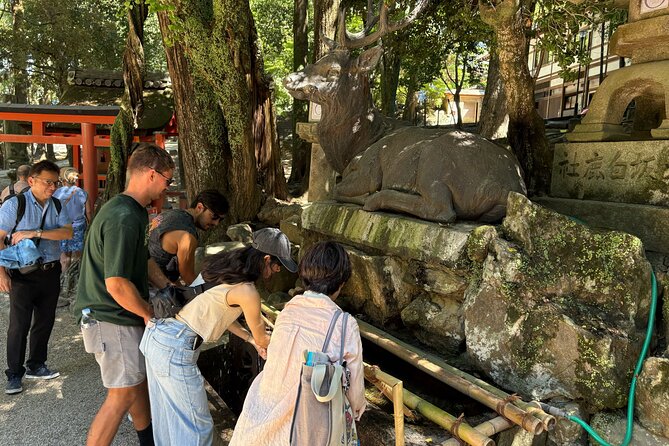 Nara Highlight Walking Tour with Furoshiki Experience with Lunch - Todai-ji and the Great Buddha