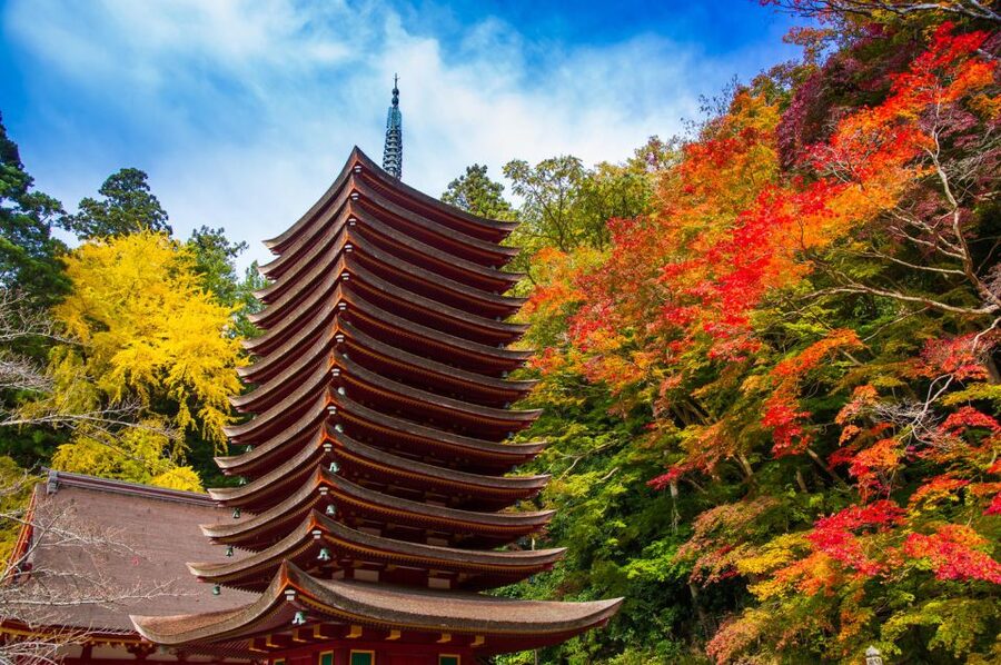 Nara: Private Tour with Private Guide - Key points at a glance