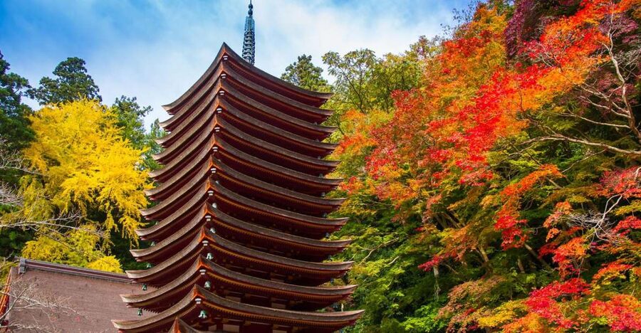 Nara: Private Tour with Private Guide - Why a private guide helps in Nara