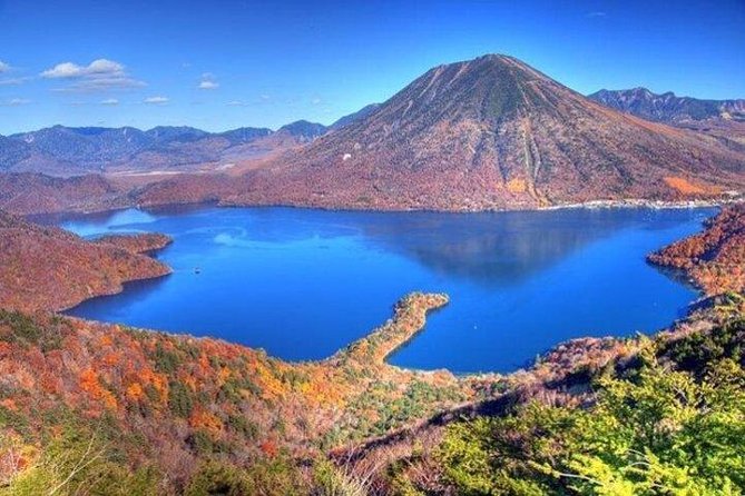 Nikko Full-Day Private Tour with Government-Licensed Guide - What the $155.86 price really buys