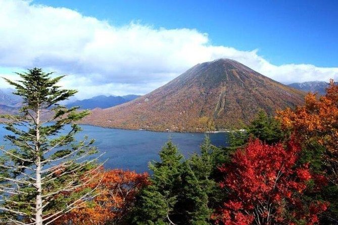 Nikko Full-Day Private Tour with Government-Licensed Guide - Who will enjoy this Nikko tour most