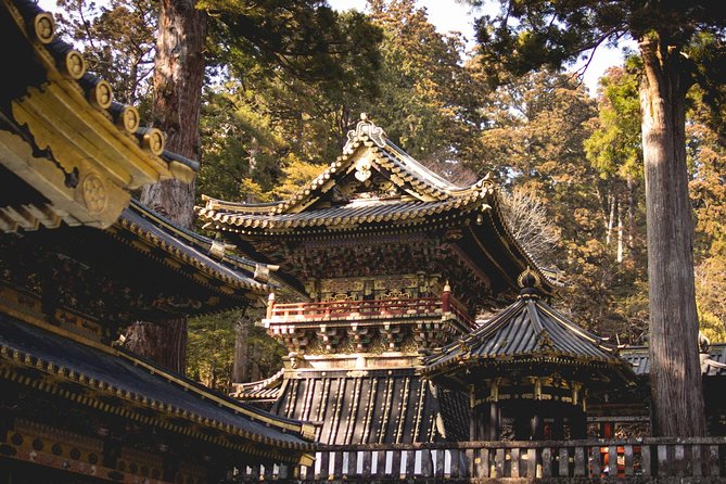 Nikko Private Day Tour from Tokyo with English-Speaking Driver - What this private Nikko trip really offers