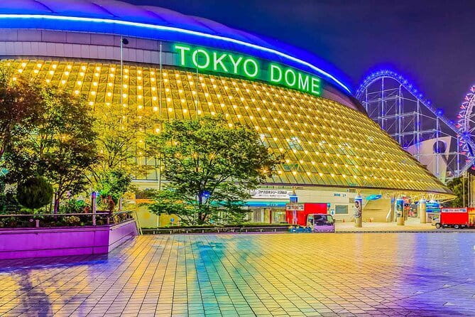 Official Japan Go-Kart Through Shibuya / Shinjuku (IDP Required) - Shinjuku Metropolitan Government Building and Kabukicho