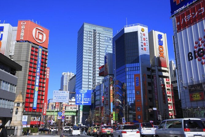 Official Street Go-Kart Tour - Akihabara - Key points before you book