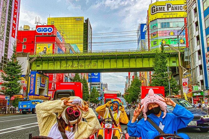 Official Street Go-Kart Tour - Akihabara - Documents, clothing, and who should skip it