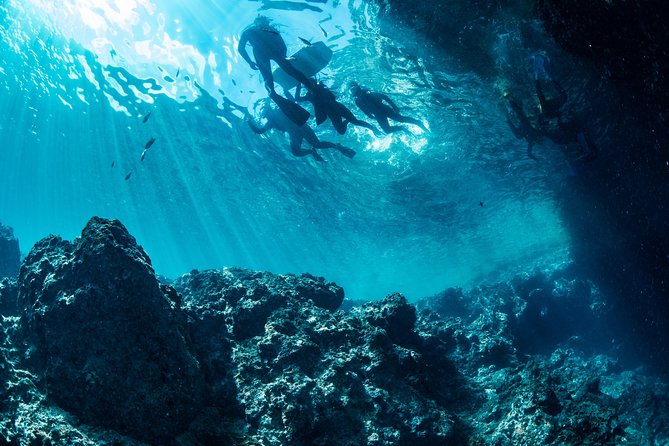 [Okinawa Blue Cave] Snorkeling with Private Guide+ Free Photos - Is $32.40 a good value?