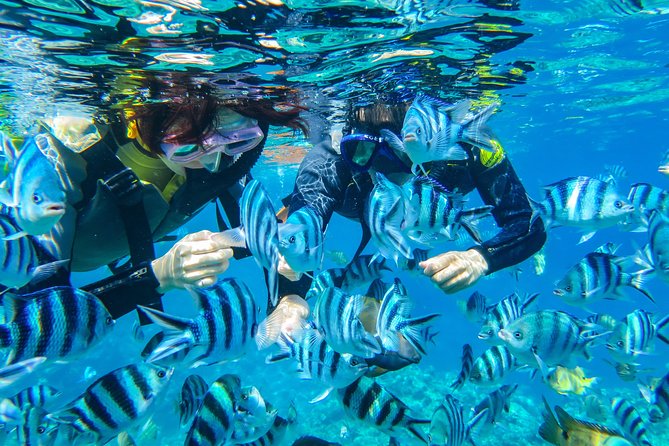 [Okinawa Blue Cave] Snorkeling with Private Guide+ Free Photos - From the Maeganeku shop to Cape Maeda