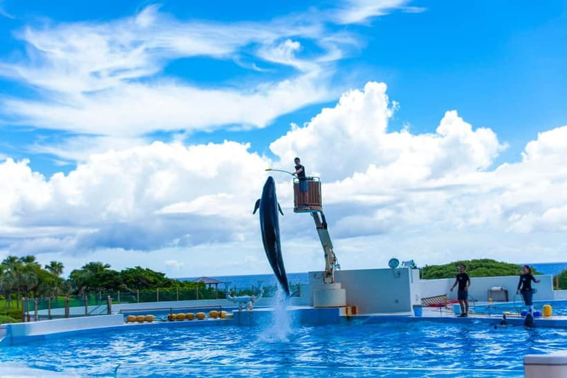 Okinawa: Churaumi Aquarium, Ryukyu Village & Manza Bus Tour - Timing, comfort, and practical preparation