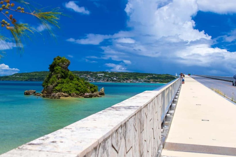 Okinawa Churaumi or Tropical, Kouri American Village BusTour - Choosing between Churaumi Aquarium and Tropical Dream Center