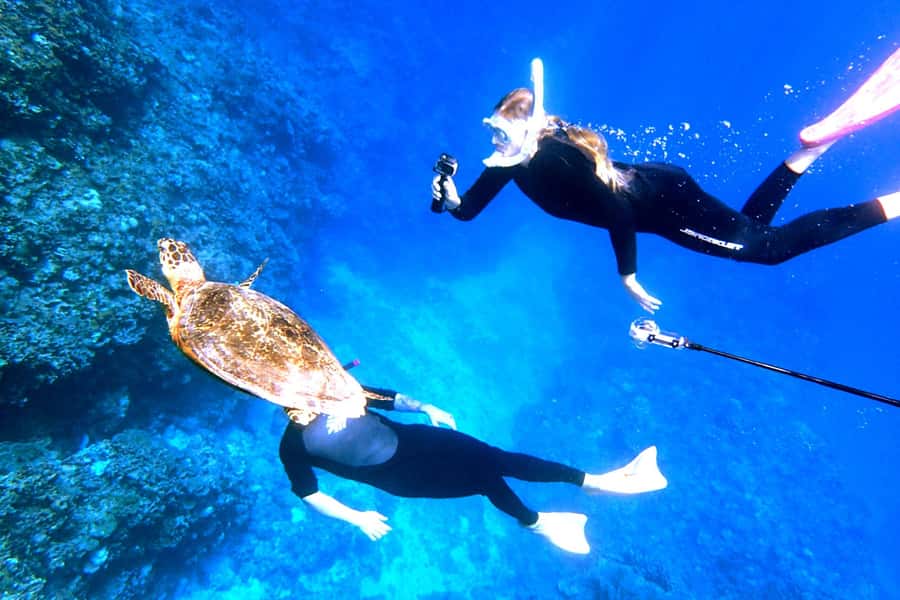 Okinawa: From Naha: Kerama Islands 1-day snorkeling tour - Second stop: more coral and more marine life