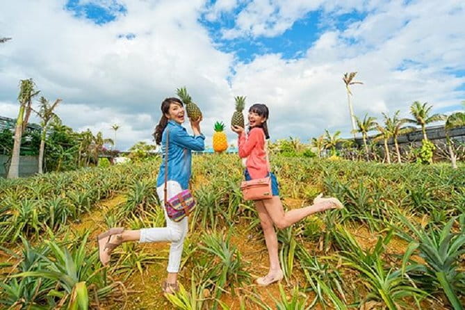 Okinawa HIP-HOP BUS A Course Tour | Churaumi Aqualium,Kori Island - A Long Okinawa Day Without a Rental Car