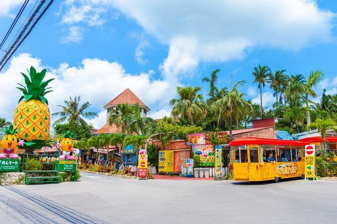 Okinawa HIP-HOP BUS A Course Tour | Churaumi Aqualium,Kori Island - Nago Pineapple Park Starts the Day on a Light Note