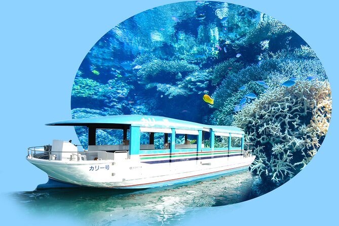 Okinawa HIP-HOP BUS B - 1 Course Tour (Okinawa Churaumi Aquarium) - Three Hours and Fifteen Minutes at Ocean Expo Park