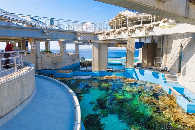 Okinawa HIP-HOP BUS B - 1 Course Tour (Okinawa Churaumi Aquarium) - Mihama American Village for Food and Shopping