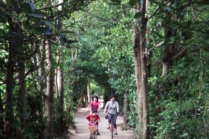 Okinawa HIP-HOP BUS B - 1 Course Tour (Okinawa Churaumi Aquarium) - Is $59.46 a Good Value?