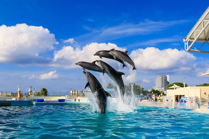 Okinawa HIP-HOP BUS B - 1 Course Tour (Okinawa Churaumi Aquarium) - Cape Manzamo and the Famous Elephant Rock