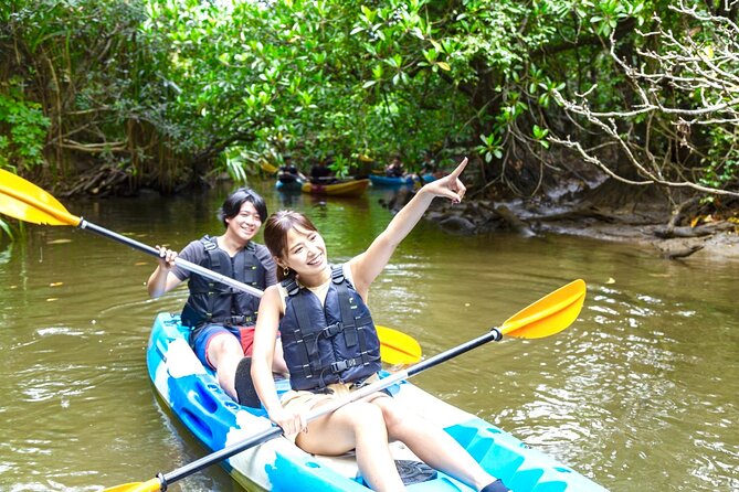 Okinawa Iriomote Mangrove SUP or Canoe and Splash Canyoning Tour - What the $99.10 price really covers