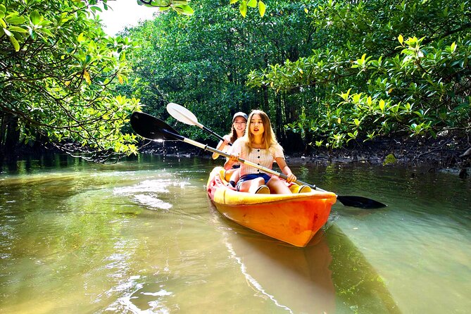 Okinawa Iriomote Mangrove SUP or Canoe Tour - Narrow channels and close views of the mangrove roots