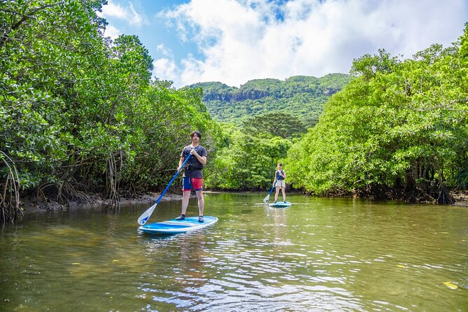 Okinawa Iriomote Mangrove SUP or Canoe Tour - Iriomote-jima beyond the paddle