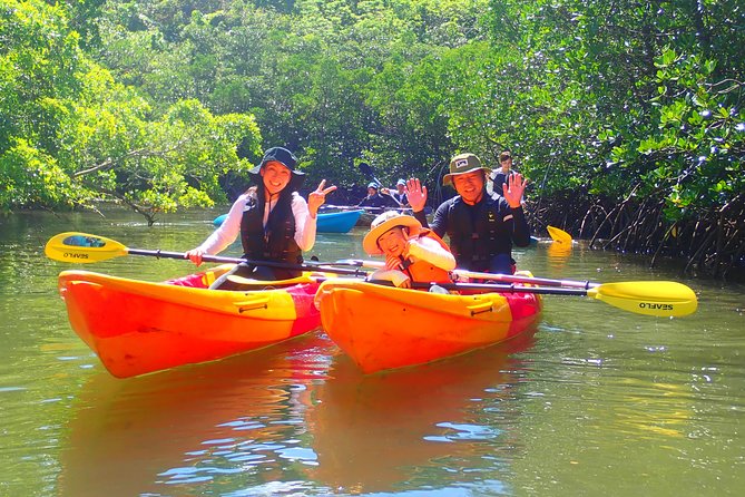 Okinawa Iriomote Mangrove SUP or Canoe Tour - Choosing between SUP and canoe